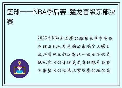 篮球——NBA季后赛_猛龙晋级东部决赛